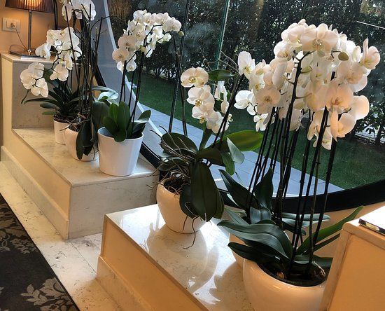 Spa Aquagranda Livigno